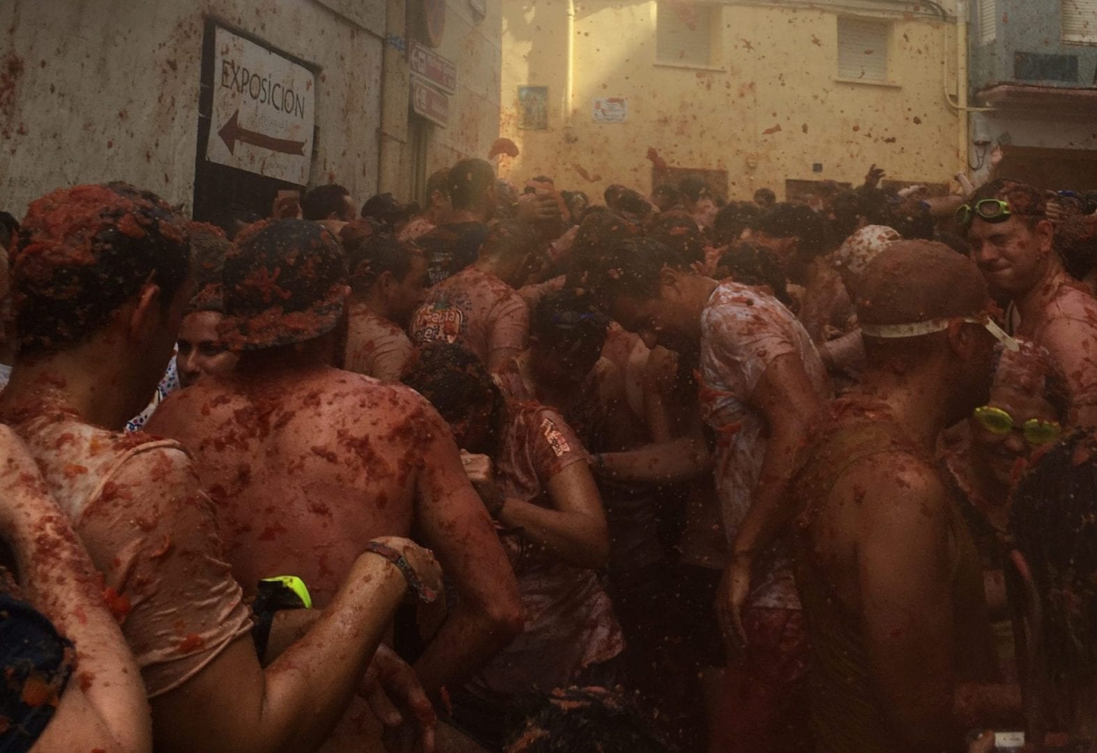 La Tomatina in 24 hours