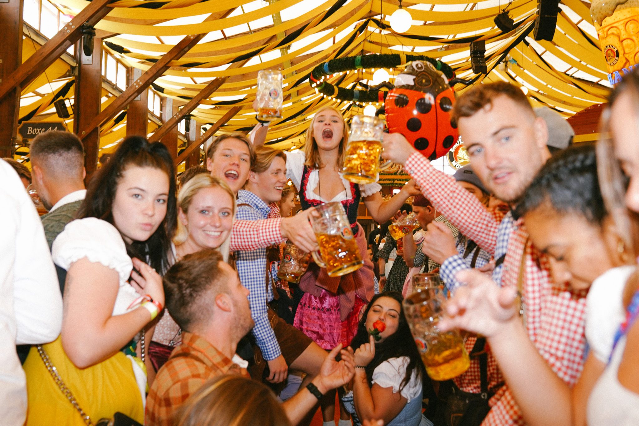 Oktoberfest Packages & Tours 2024 to 2025 | Munich Germany